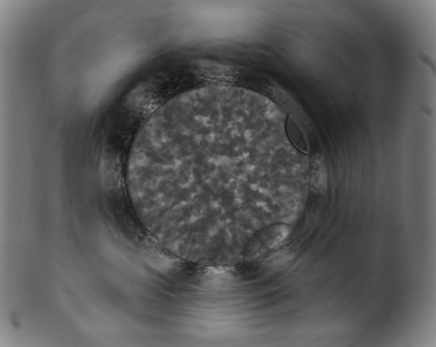 X0000099420573200806060958