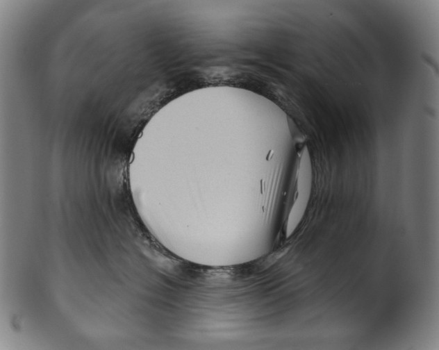 X0000099420574200806060958