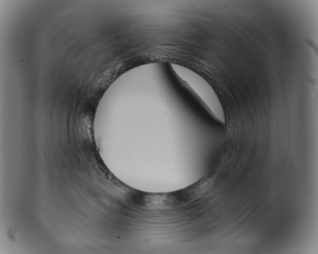 X0000099420575200806060958