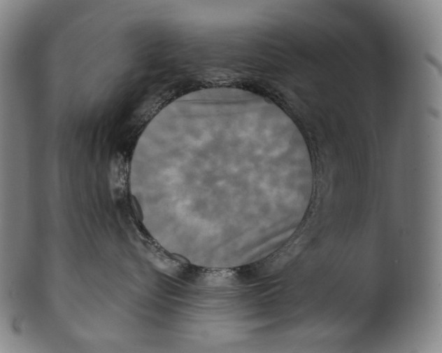 X0000099420576200806060958