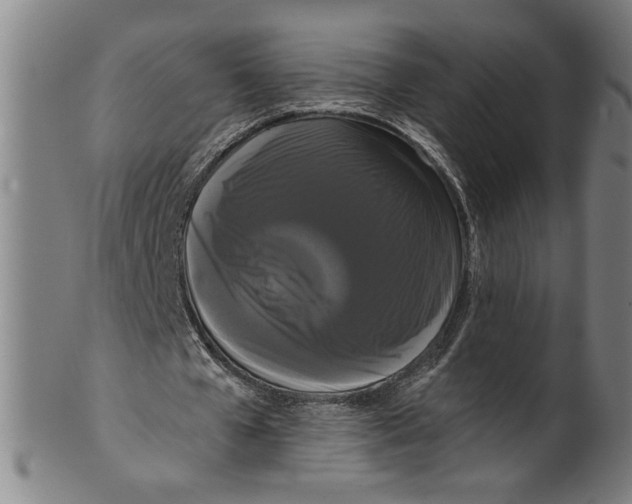 X0000099420577200806060957
