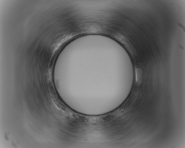 X0000099420579200806060957