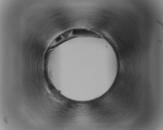 X0000099420580200806060957