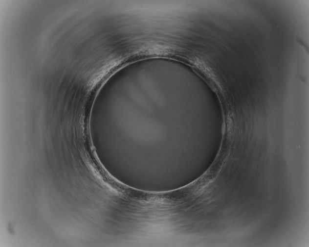 X0000099420581200806060957