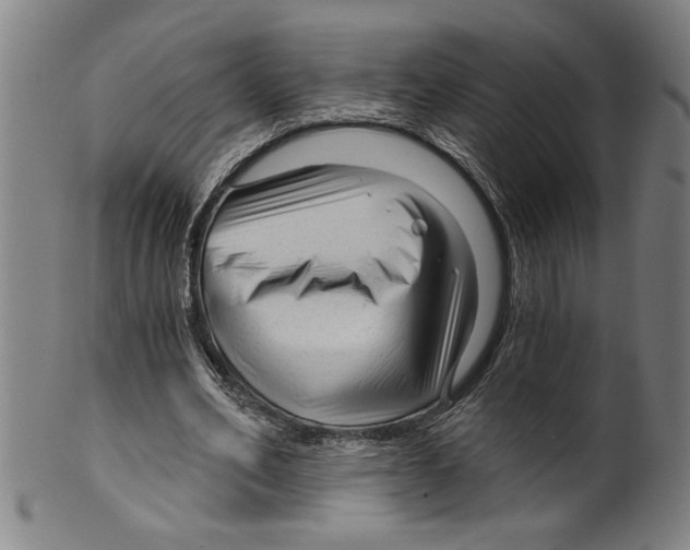 X0000099420582200806060957