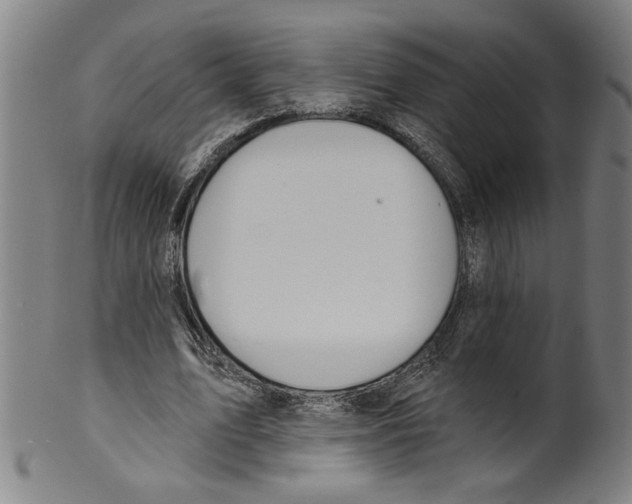 X0000099420583200806060957