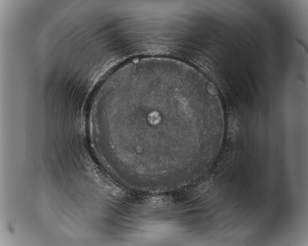 X0000099420584200806060957