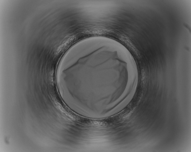 X0000099420585200806060957