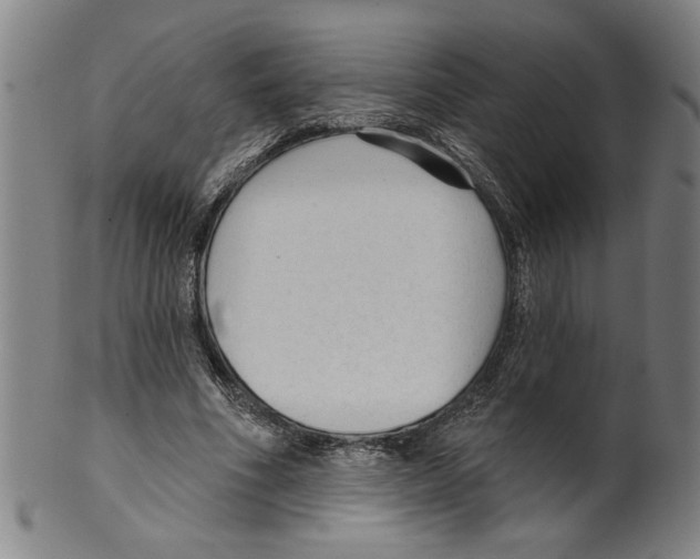 X0000099420586200806060957
