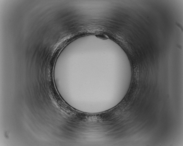 X0000099420587200806060957
