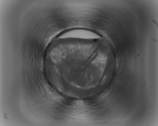 X0000099420588200806060957