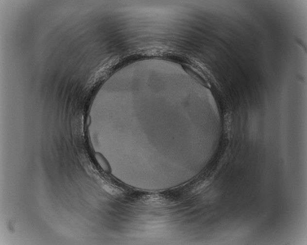 X0000099420589200806060957