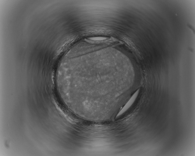X0000099420590200806060957