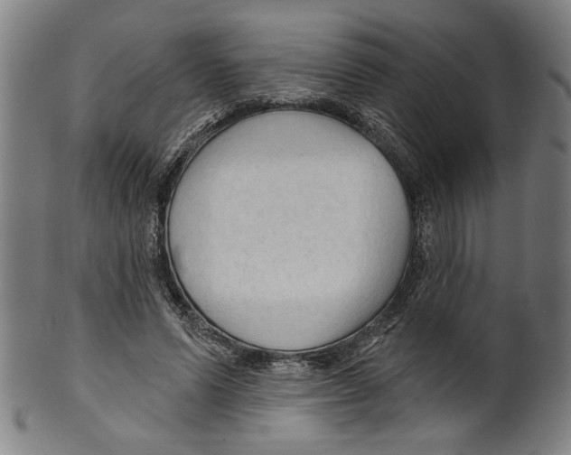 X0000099420591200806060957