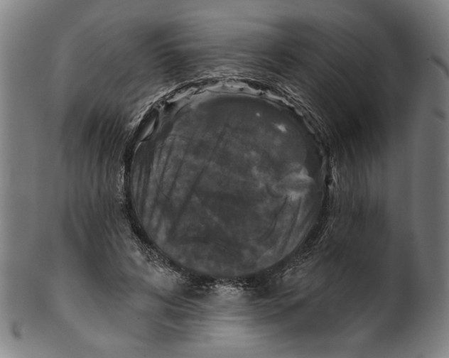 X0000099420592200806060957