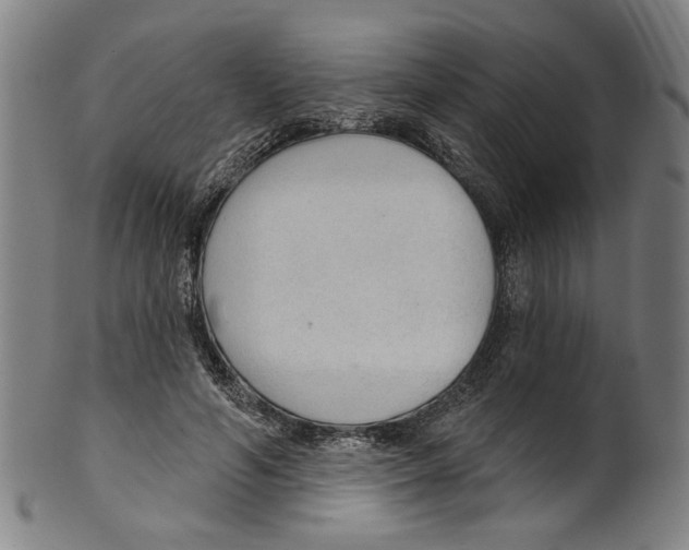 X0000099420594200806060957