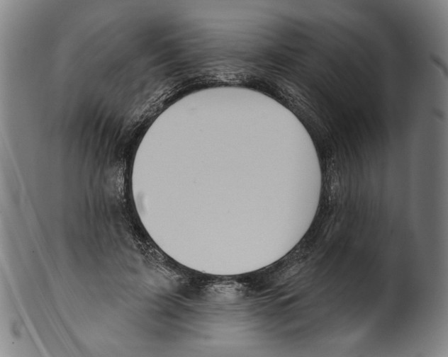X0000099420595200806060957