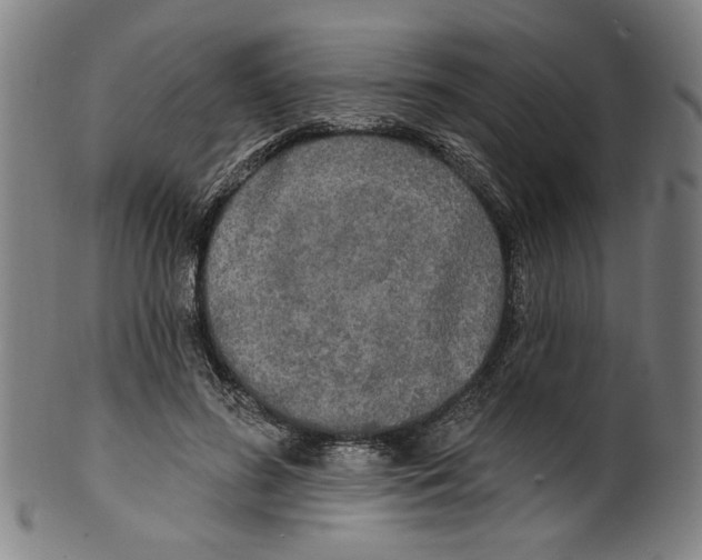 X0000099420596200806060957