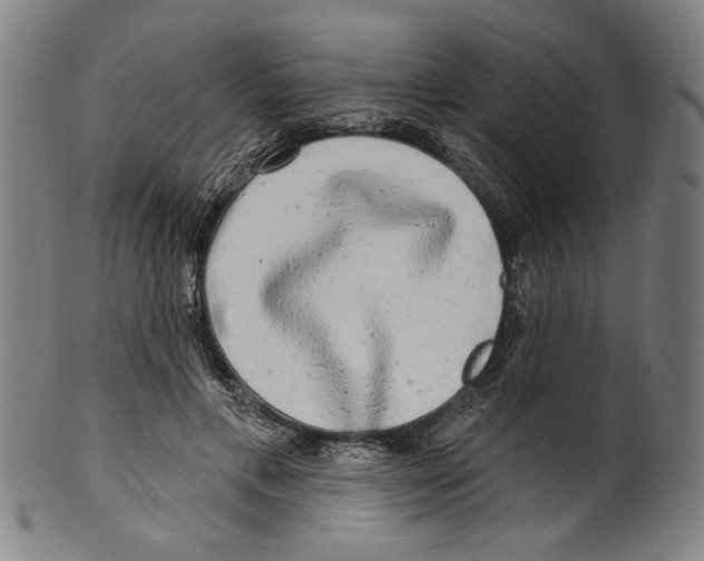X0000099420597200806060957