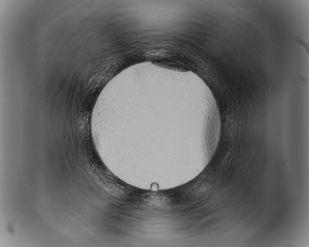 X0000099420601200806060956