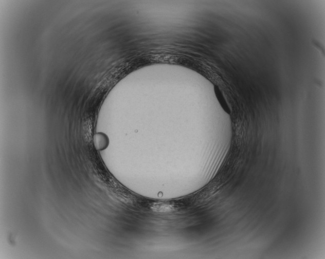 X0000099420602200806060956