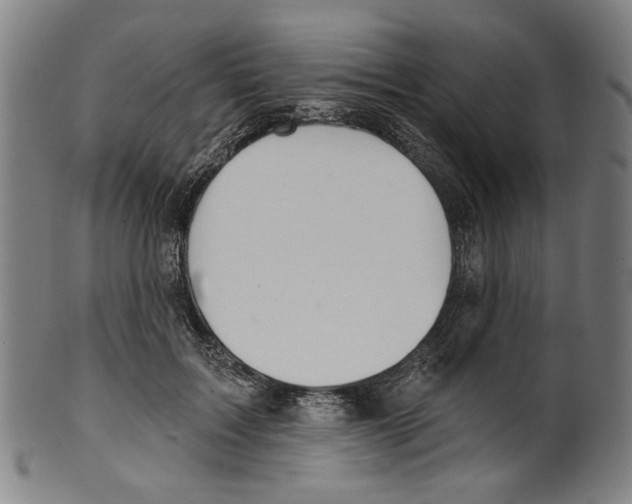 X0000099420603200806060956