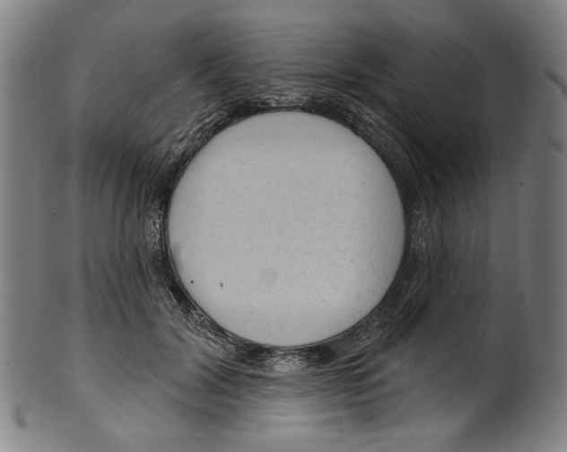 X0000099420604200806060956