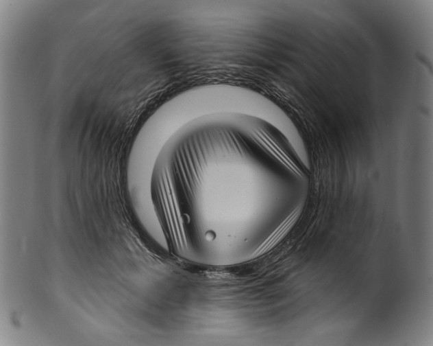 X0000099420605200806060956