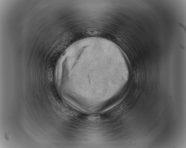 X0000099420606200806060956
