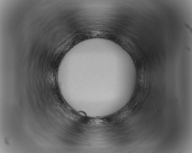 X0000099420607200806060956