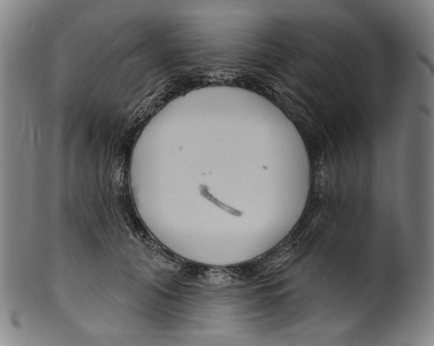 X0000099420608200806060956