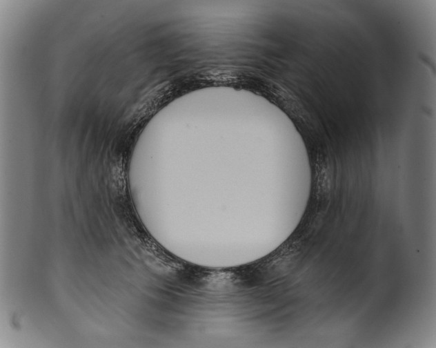 X0000099420609200806060956