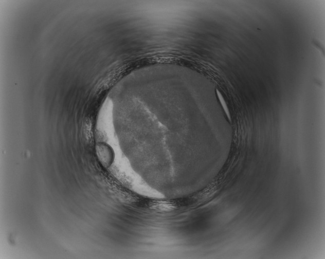 X0000099420610200806060956