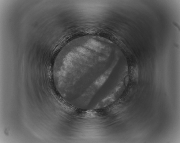 X0000099420612200806060956