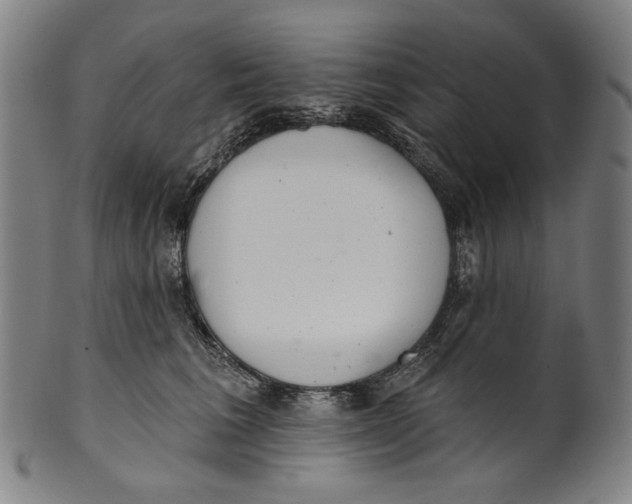 X0000099420613200806060956