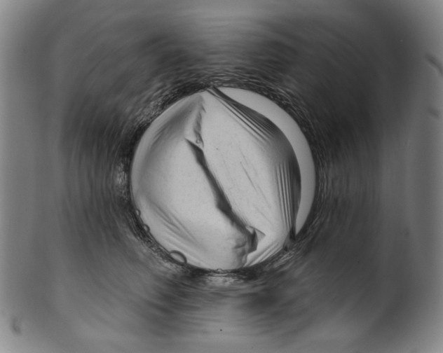 X0000099420614200806060956