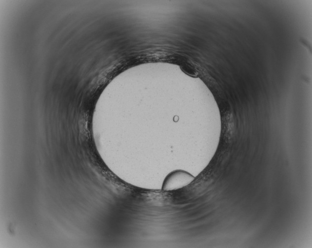 X0000099420615200806060956