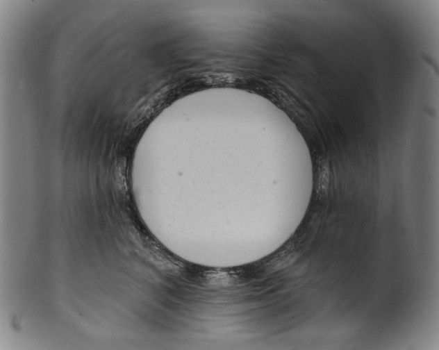 X0000099420616200806060956