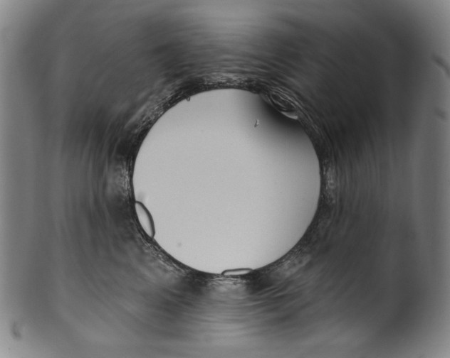 X0000099420617200806060956