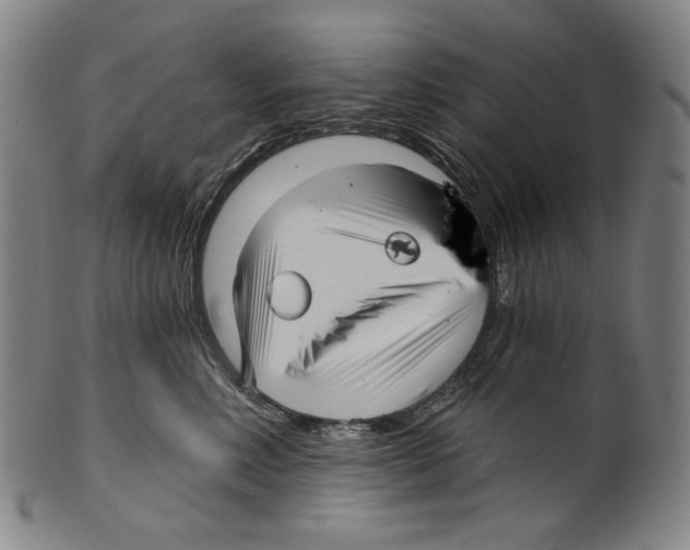 X0000099420618200806060956