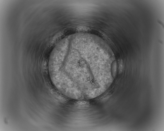 X0000099420619200806060956