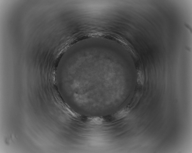 X0000099420621200806060956