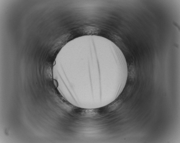 X0000099420622200806060956