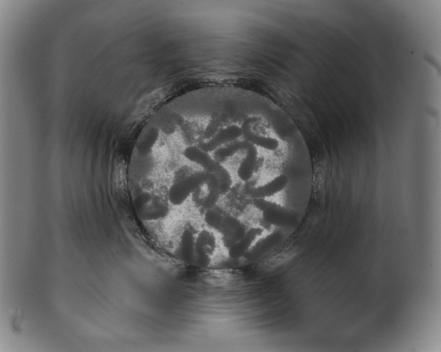 X0000099420623200806060956