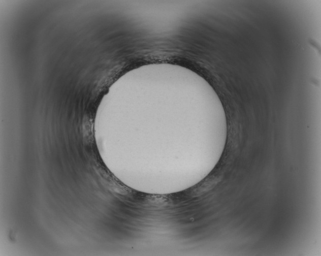 X0000099420624200806060956