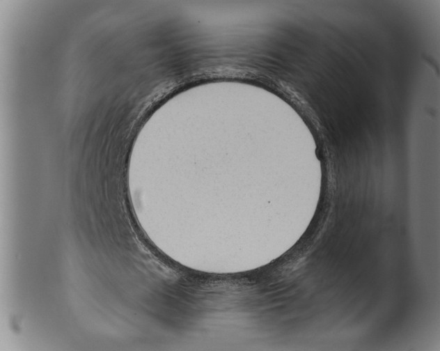 X0000099420625200806060955