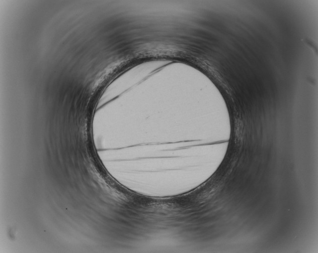 X0000099420629200806060956