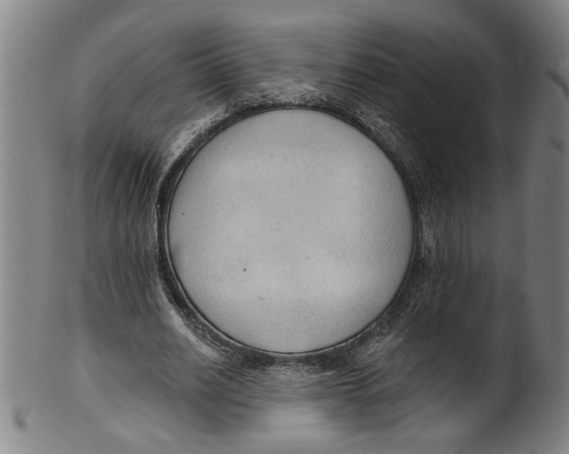 X0000099420630200806060956