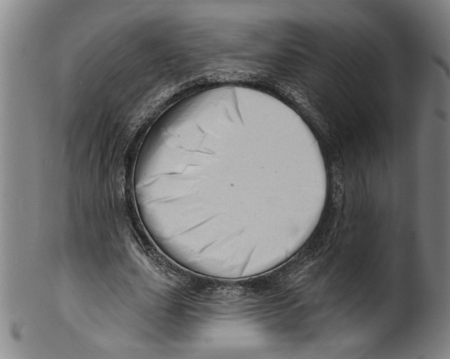 X0000099420631200806060956