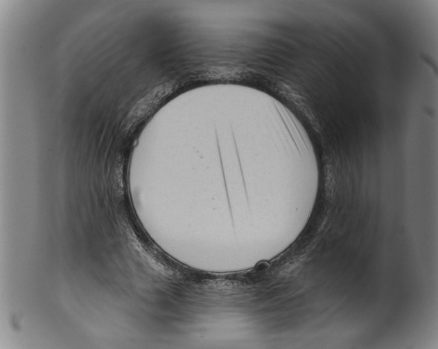 X0000099420633200806060956